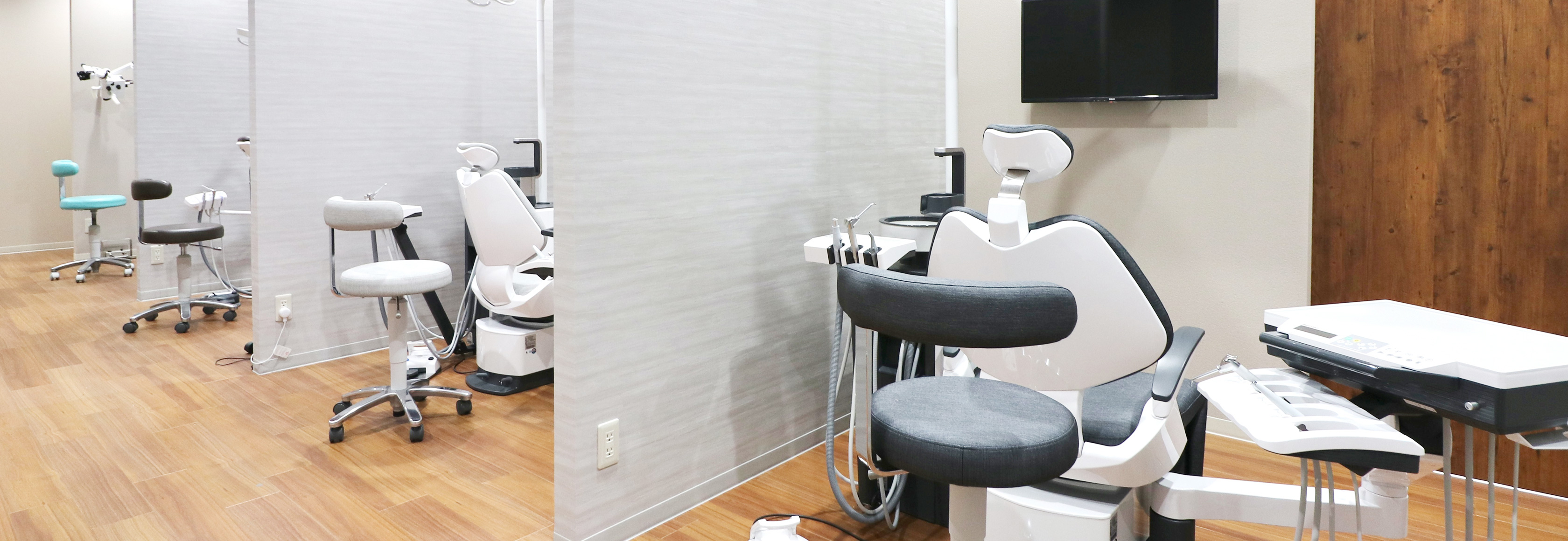 診療内容 Treatment